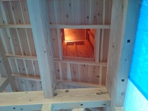 id_204677538[1]