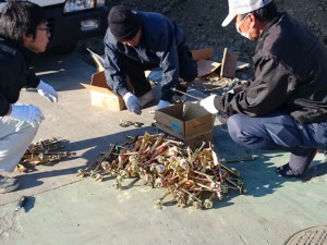 id_265851256[1]
