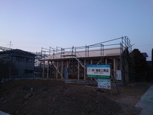 id_266482616[1]