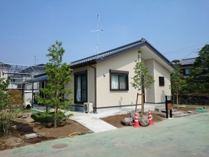 id_313833345[1]