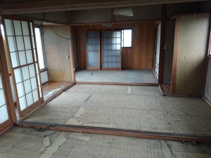 id_314924805[1]
